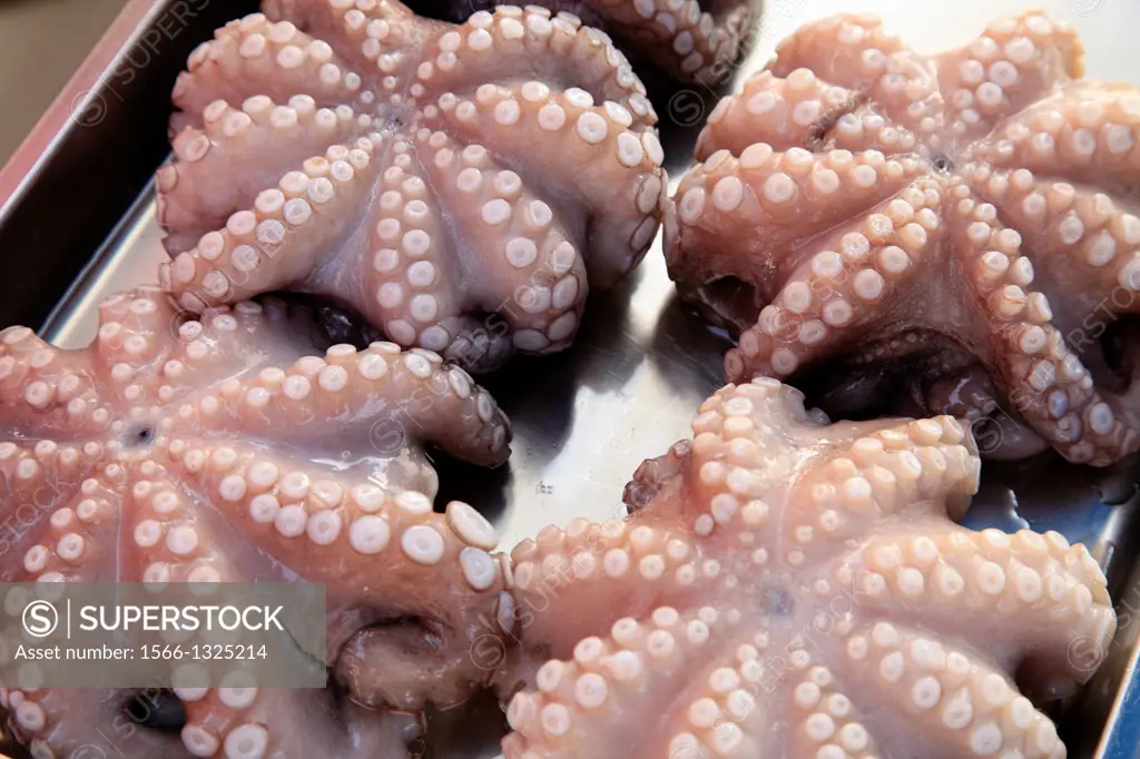 Malta, Marsaxlokk, fish market, octopus,.