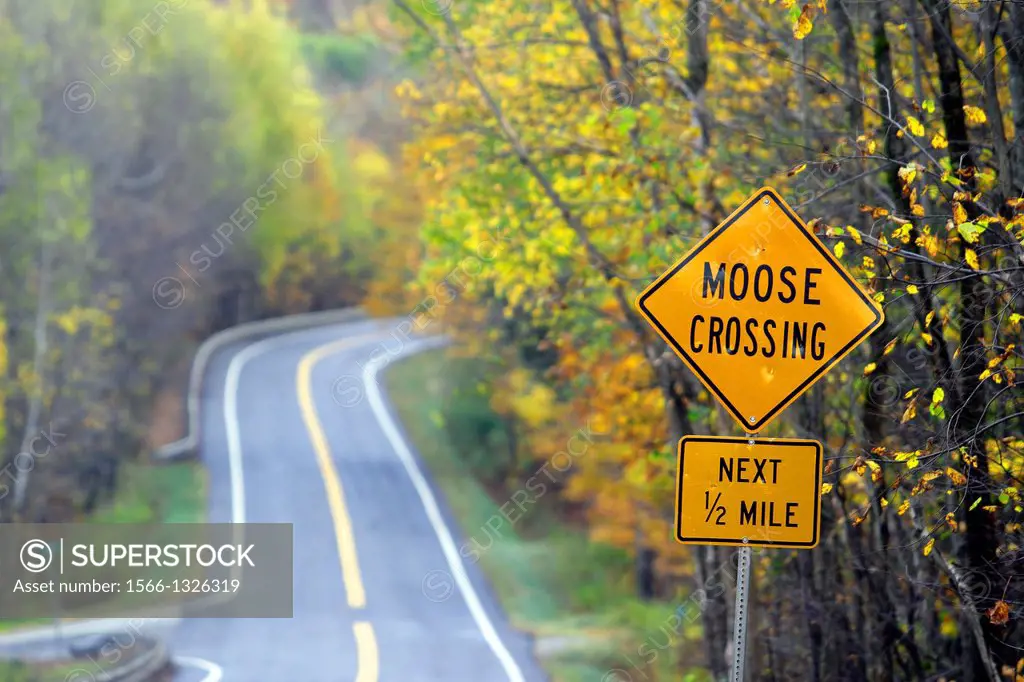Vermont New England USA fall foliage moose crossing traffic sign West Jay VT.