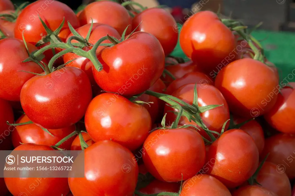 Red Tomatoes on Market Stall.