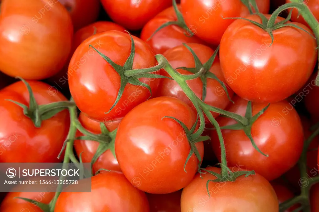 Red Tomatoes on Market Stall.