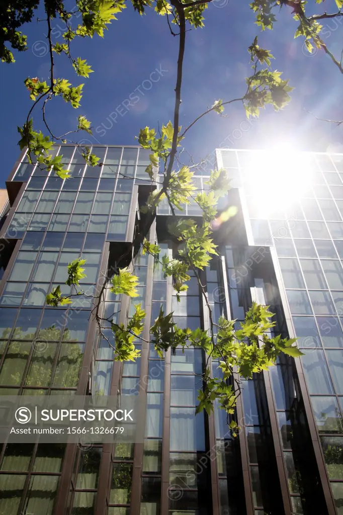 glass office block building with trees in rome italy.