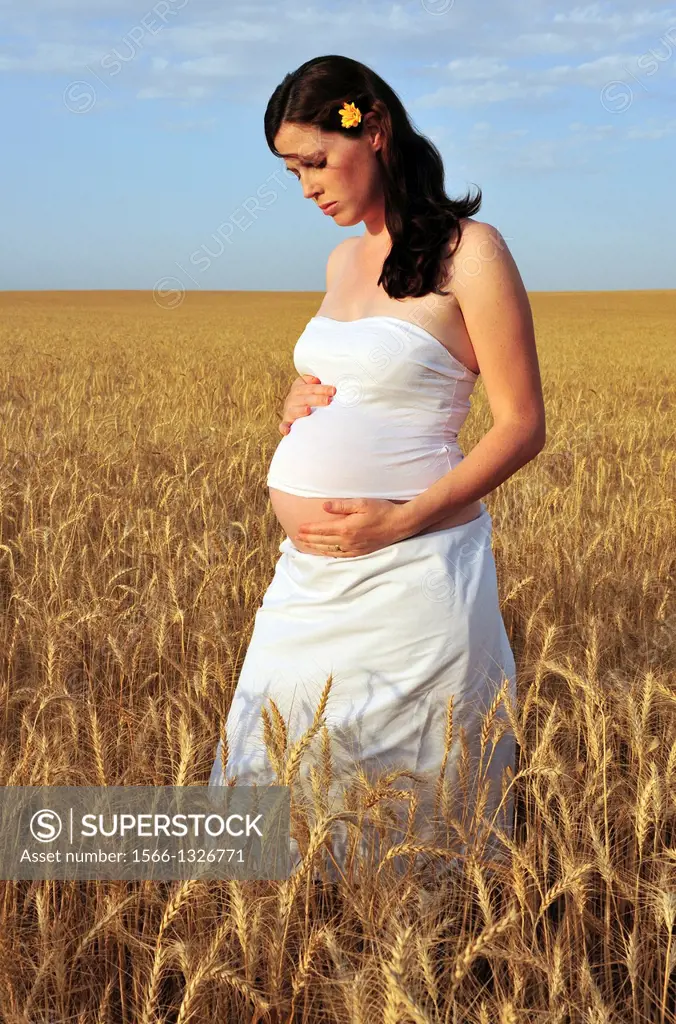 A young pregnant woman in a wheat field.