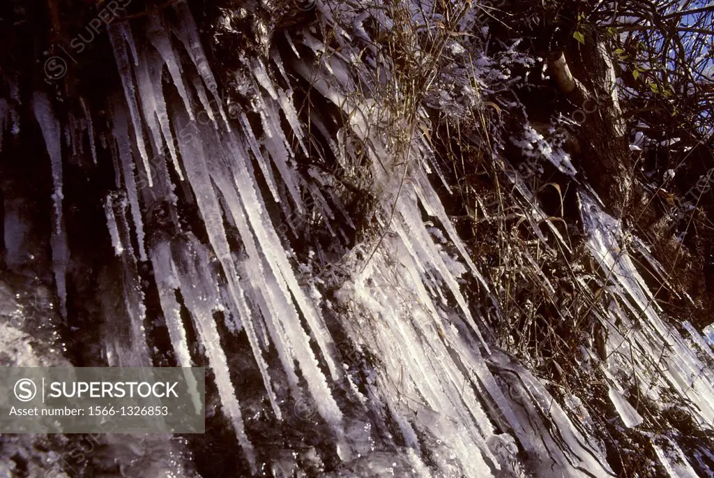 USA, WASHINGTON, CASCADE MOUNTAINS, ICICLES HANGING FROM ROCK WALL.