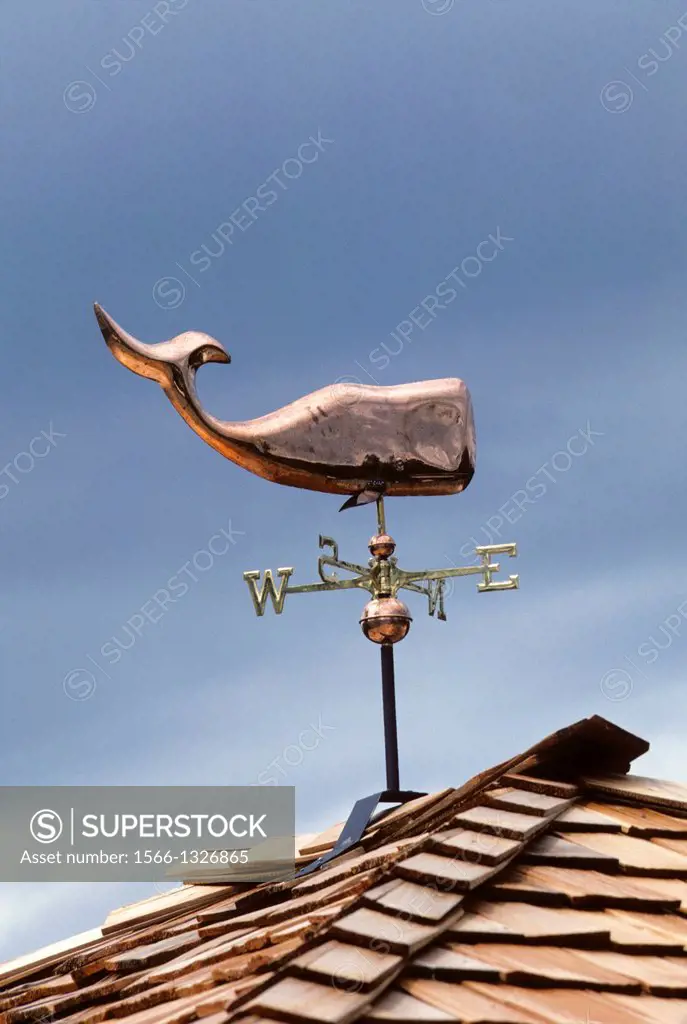 USA, WASHINGTON, WEATHER VANE WITH COPPER WHALE AS WIND INDICATOR.