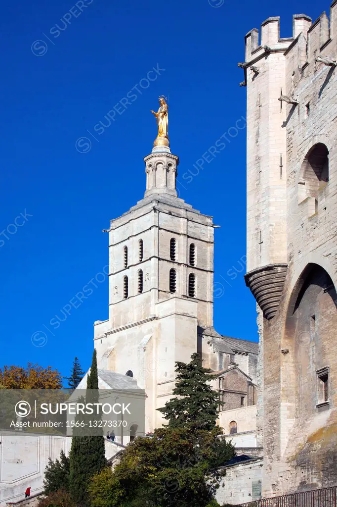 Cathedral, Avignon, Vaucluse, Provence-Alpes-Côte d´Azur, France