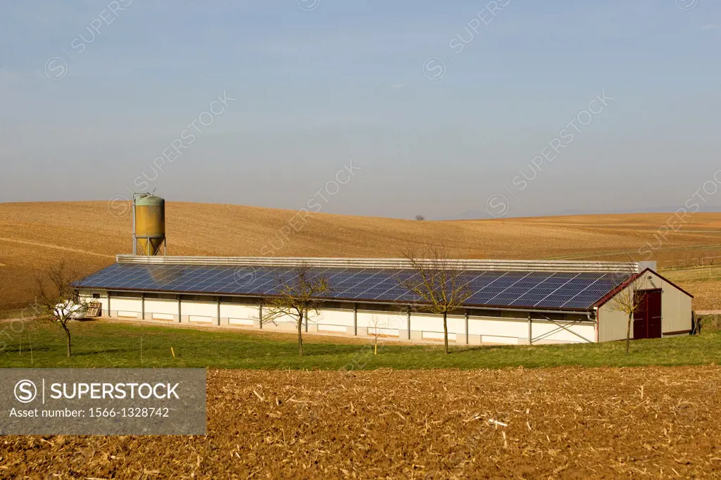 France , Siegen , poultry farming , breeding broilers in a building covered with photovoltaic panels.