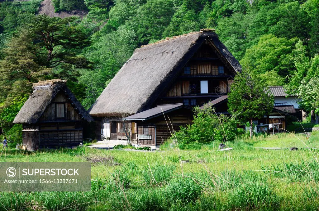 The Gassho-style houses found in the Historic Village of Shirakawa-go on the Hida Higlands in Japan.