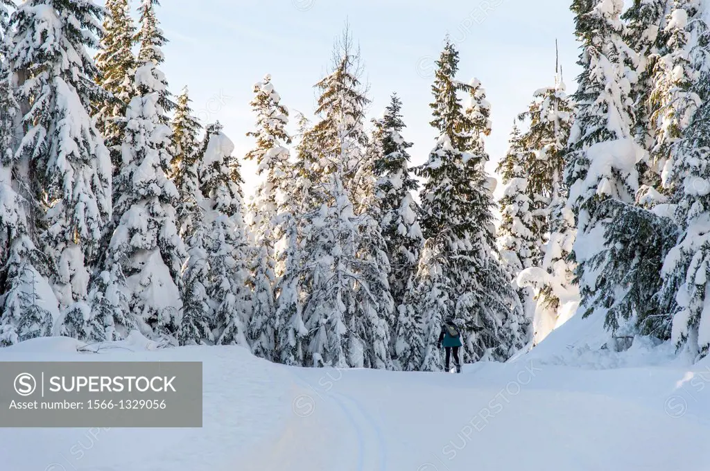 Canada, BC, Whistler. Callaghan Valley nordic ski area