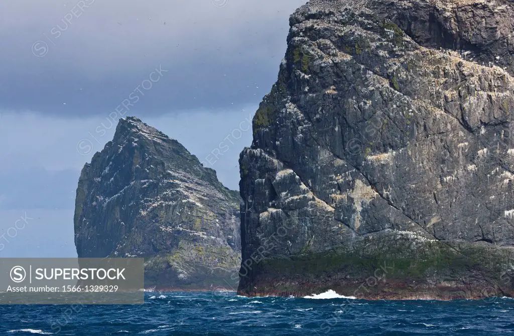 Stac Lee, Stac and Armin Islands. Gannet colony. St. Kilda Archipelago. Outer Hebrides. Scotland, UK.