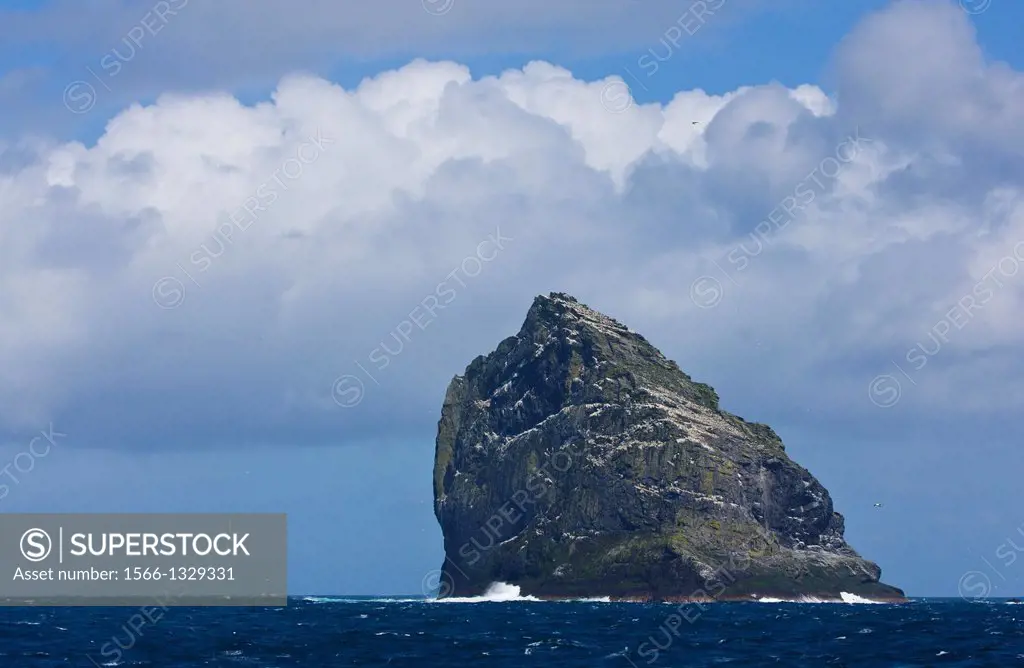 Stac an Armin Islands. Gannet colony Atlantic. St. Kilda Archipelago. Outer Hebrides. Scotland, UK.