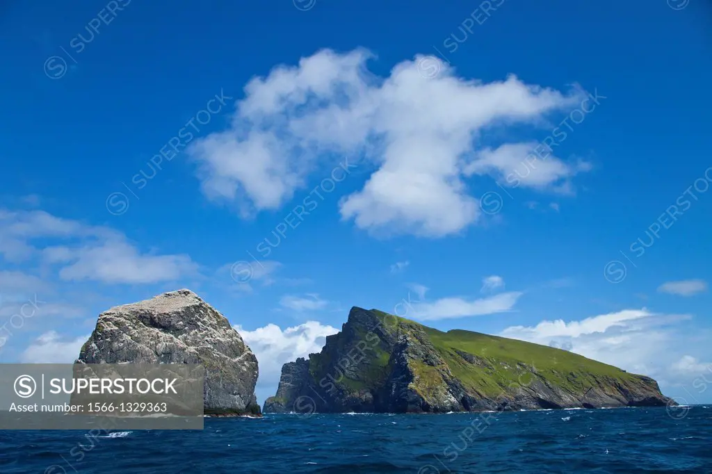 Stac Lee and Boreray Islands. Gannet colony. St. Kilda Archipelago. Outer Hebrides. Scotland, UK.