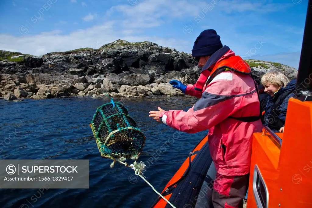 Fishing lobster and crab pot. Great Bernera. Lewis island. Outer Hebrides. Scotland, UK.