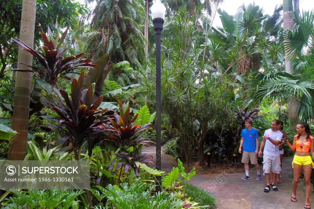 Florida, Saint St. Petersburg, Sunken Gardens, botanical, plants, palm trees, teen, boy, girl, Black,.