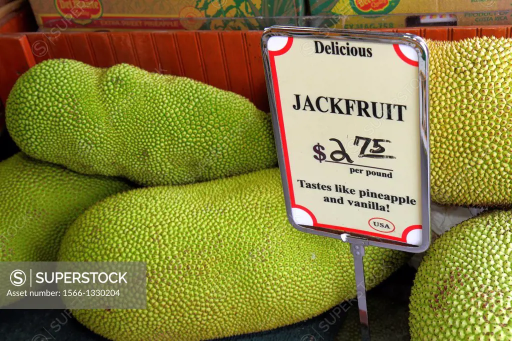 Florida, Miami, Florida City, Robert Is Here, produce, market, sale, sign, jackfruit,.