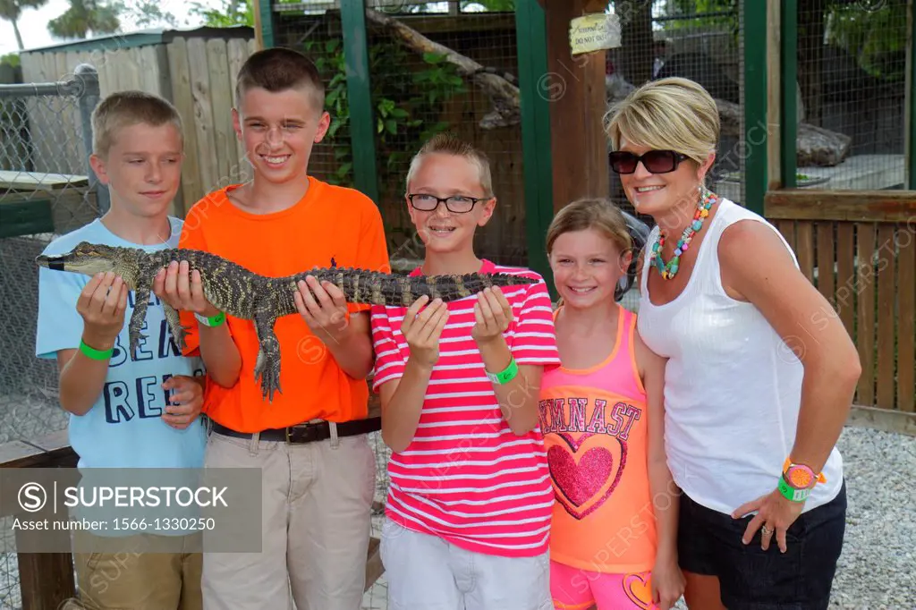 Florida, Fort Ft. Lauderdale, Weston, Sawgrass Recreation Park, Everglades, baby juvenile alligator, holding, boy, brothers, girl, sister, mother, wom...