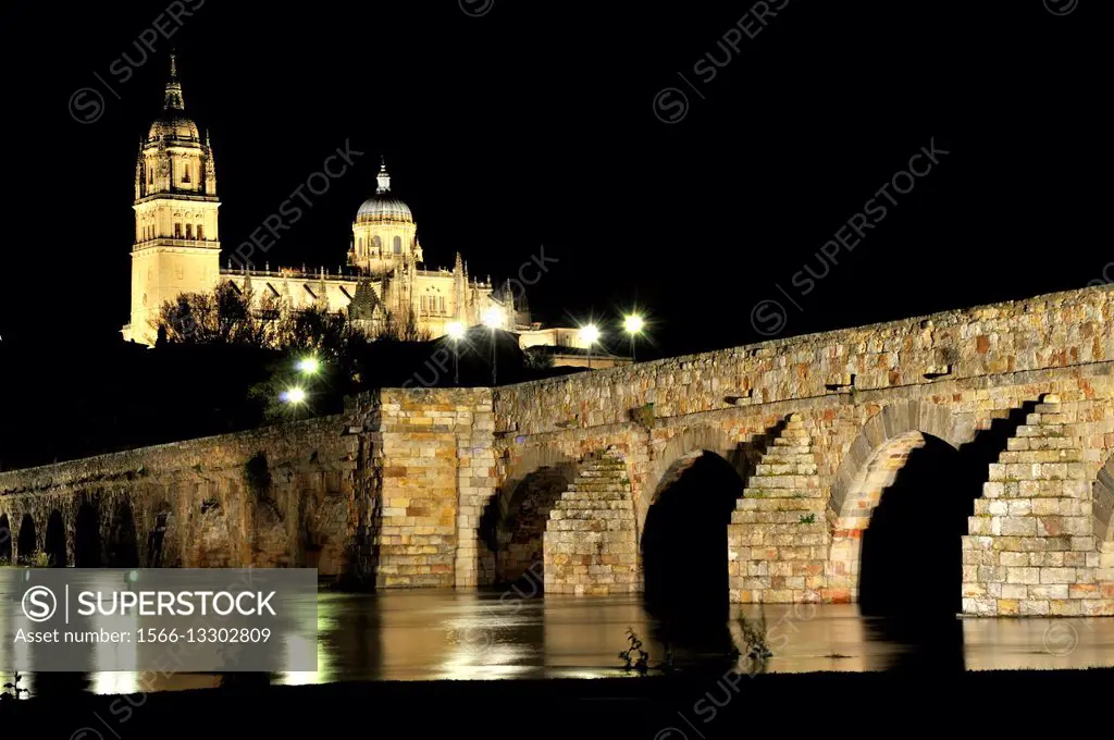 Roman bridge and old cathedral, Salamanca.