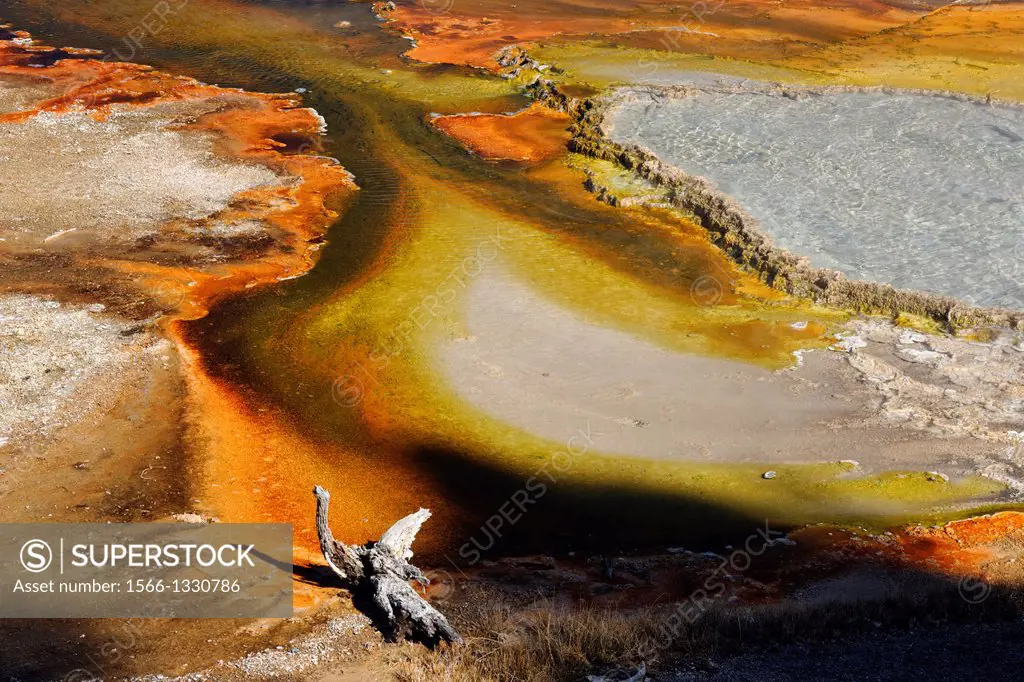 Lower Geyser Basin, Firehole Lake drive- Firehole Spring, Yellowstone NP, Wyoming, USA.