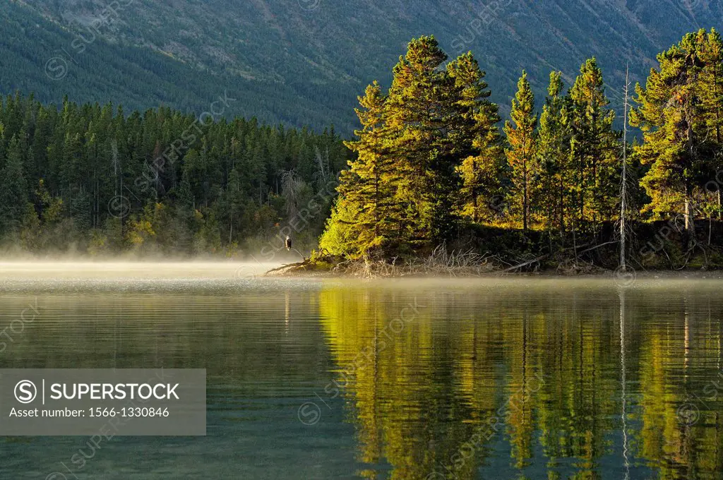 The Chilko River at dawn, Chilcotin wilderness, British Columbia, Canada.
