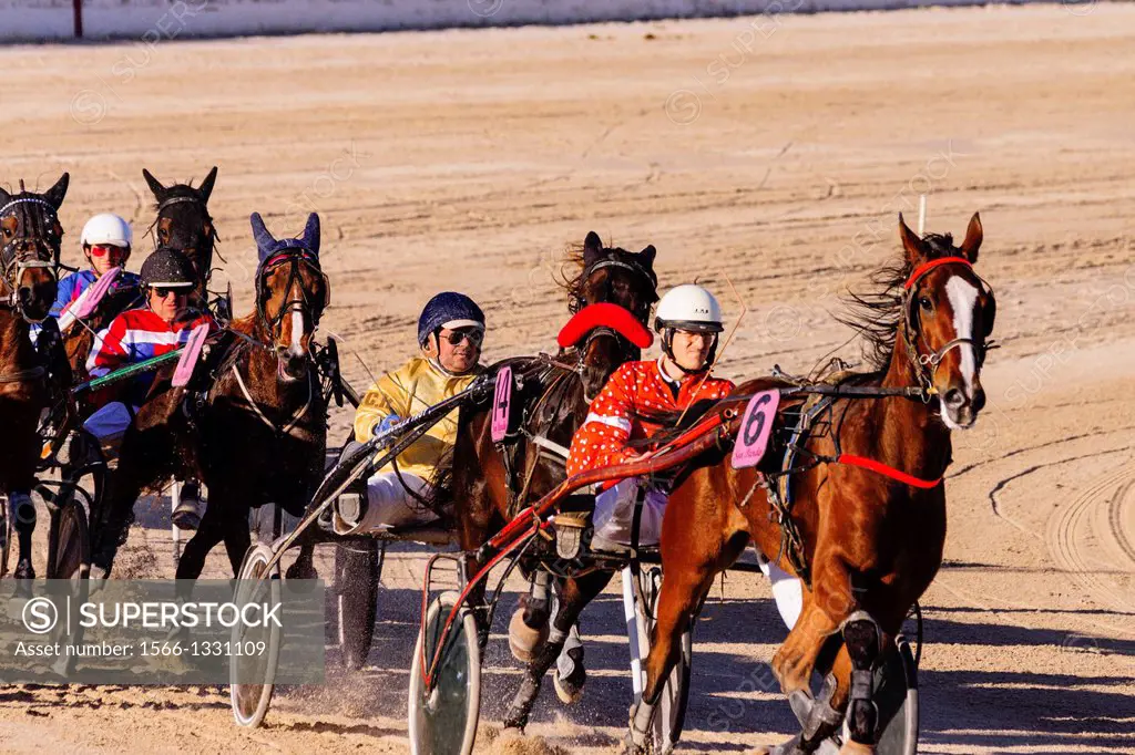 Grand Prix Equestrian, Racecourse Son Pardo, Palma, Majorca, Balearic Islands, Spain