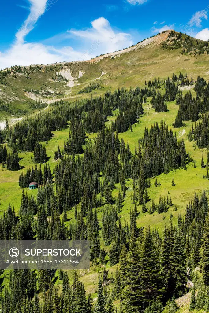 a peak near Hart´s Pass in the Cascade mountains in Washington state, USA