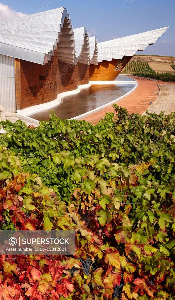 Vineyard and Ysios winery building designed by architect Santiago Calatrava, Laguardia, Rioja Alavesa, Araba, Basque Country, Spain