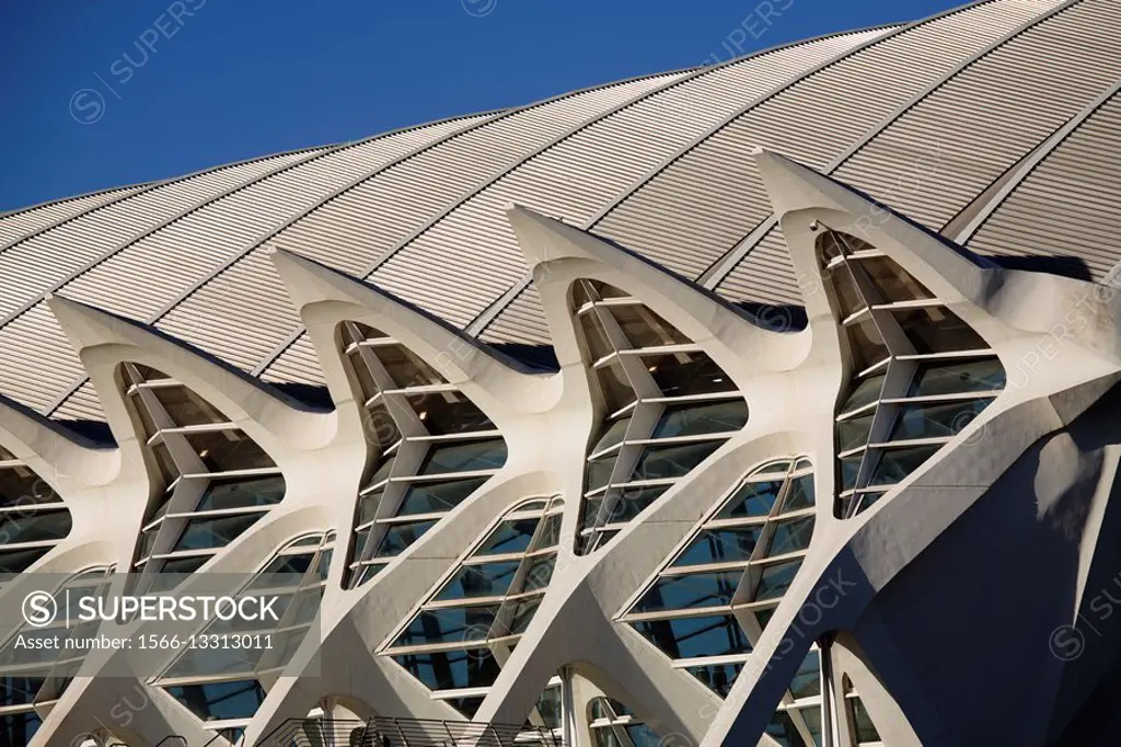 Architectural detail of the Science Museum, City of Arts and Sciences, Valencia, Spain