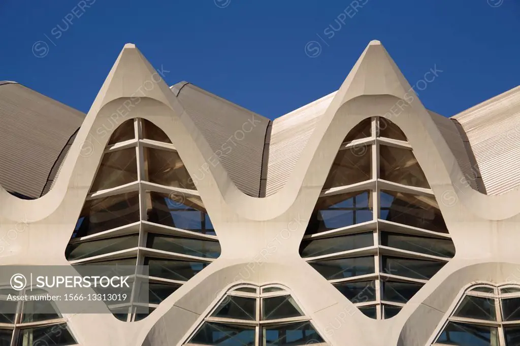 Architectural detail of the Science Museum, City of Arts and Sciences, Valencia, Spain