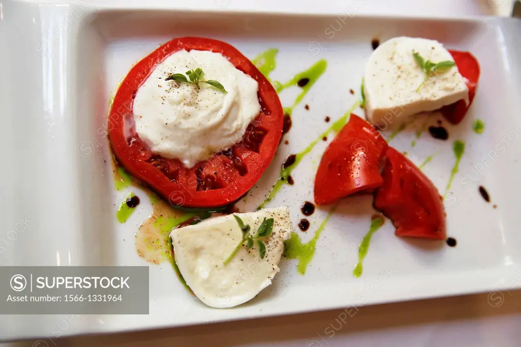 Buffala Mozzarella and Tomato Salad, Drizzled with Basil Flavored Olive Oil and Balsamic Vinegar, Garnished with Basil Springs, Served on a Rectangula...