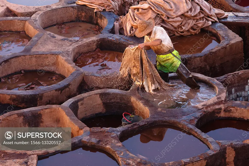 Man working with leather. Tanneries. Fez El Bali. Fez. Morocco. North Africa. Africa.