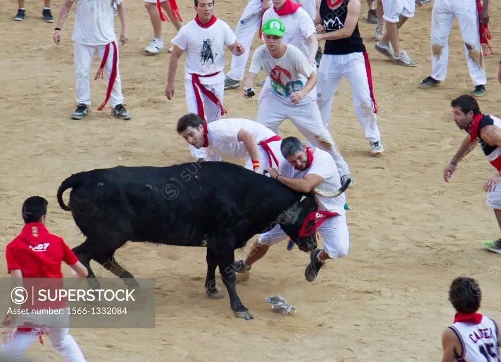 running of the bulls in San Fermin in Pamplona (Navarre).