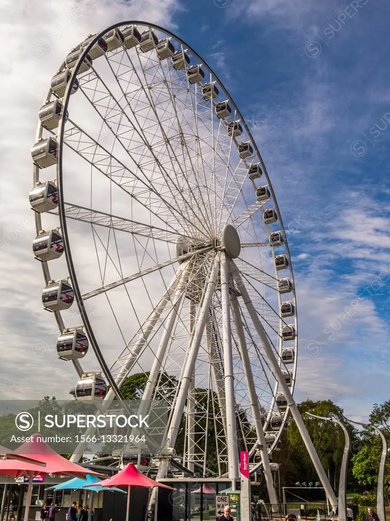 Big wheel in Brisbane.