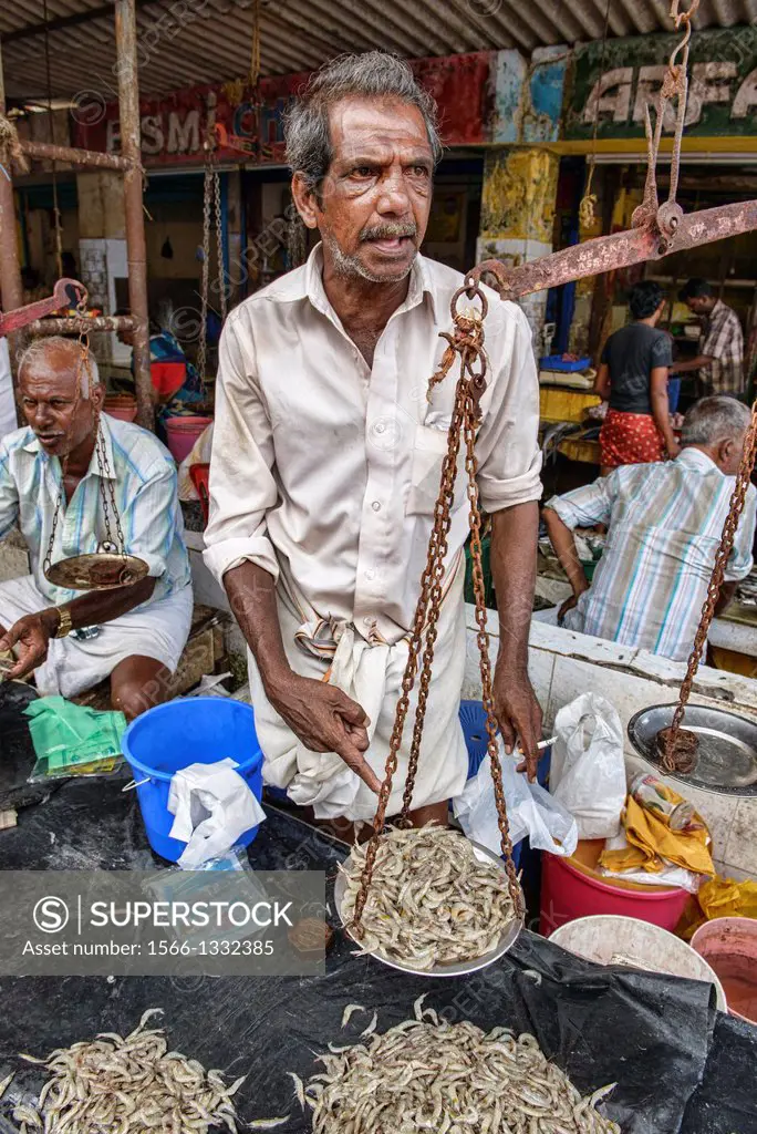 fish vendor at the market of Fort Cochin (Kochi), Kerala, India.