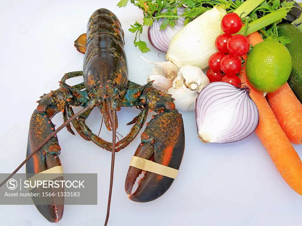 -Lobster and Vegetables- Mediterranean Food.