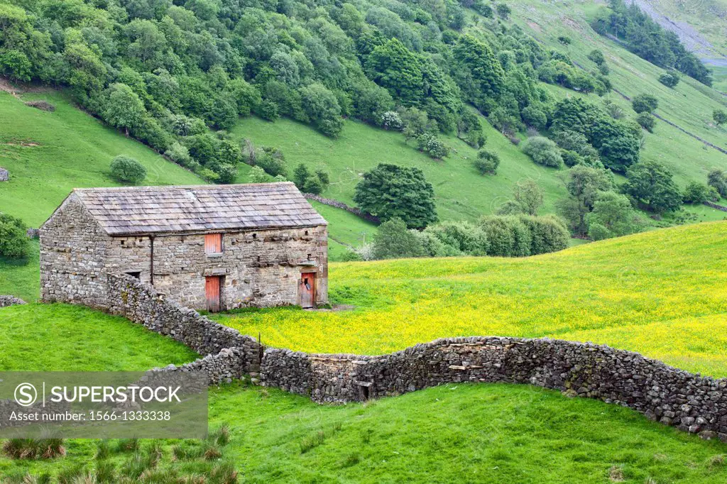 Barn with Red Doors near Angram in Swaledale Yorkshire Dales England.