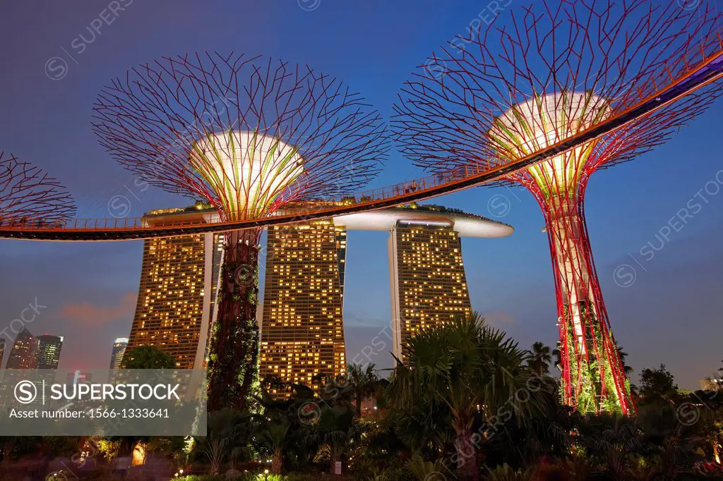 Supertree Grove at Gardens by the Bay, Singapore.