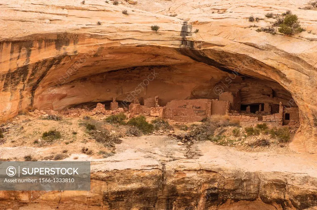 Butler Wash Anasazi ruins at Cedar Mesa. The cliff dwellings in this area were built and occupied by the Anasazi about 1200 A.D., the structures repre...