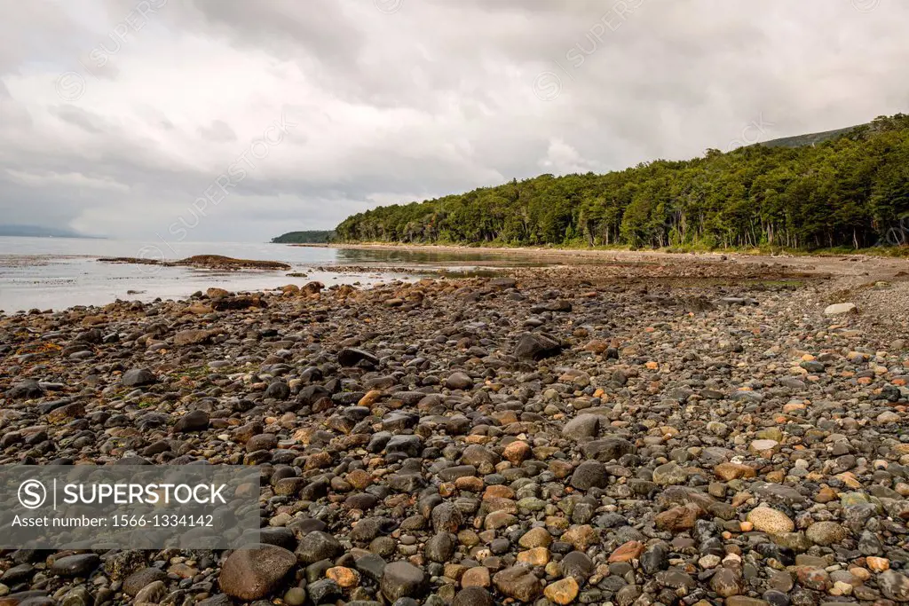 Pebble Beach, , Southernmost tip of south america Cabo Froward, Chile.