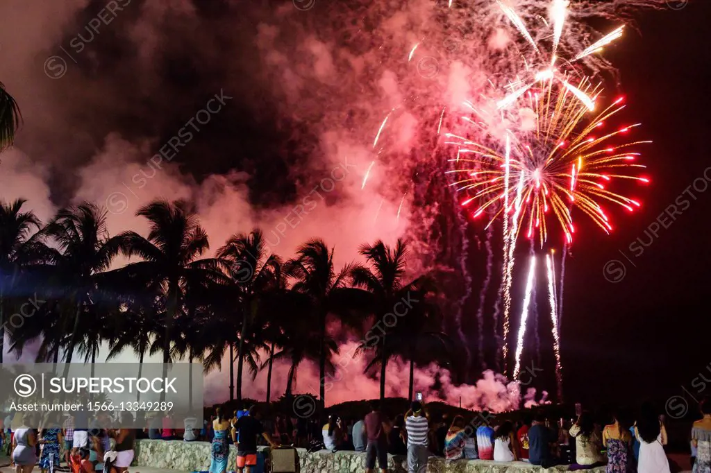 Florida, Miami Beach, South Beach, Lumms Park, Fourth of July, Independence Day, holiday, celebration, fireworks spectators, coconut palm trees, smoke...