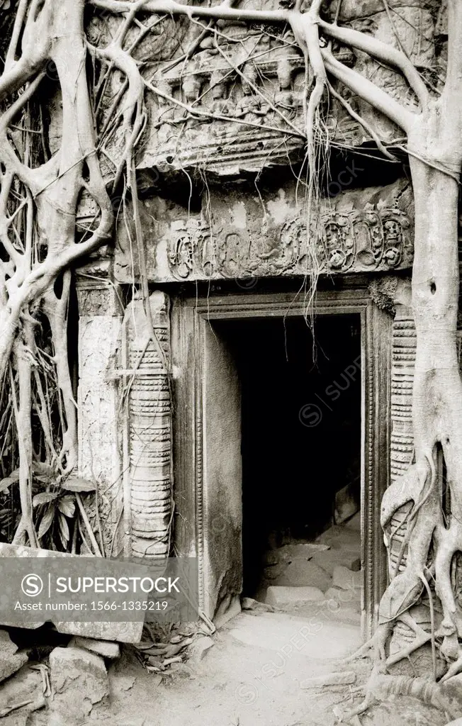 Doorway in Ta Prohm. The Temples of Angkor in Siem Reap in Cambodia in Southeast Asia Far East.  