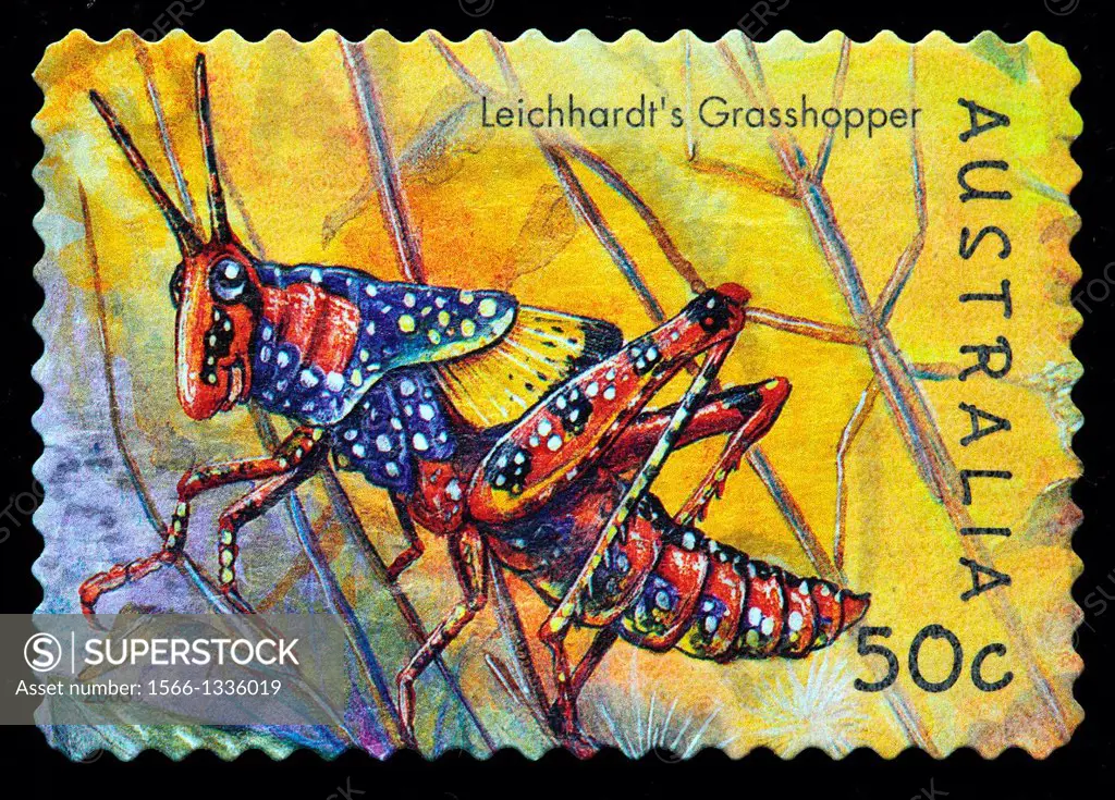 Leichhardt´s grasshopper, postage stamp, Australia, 2003