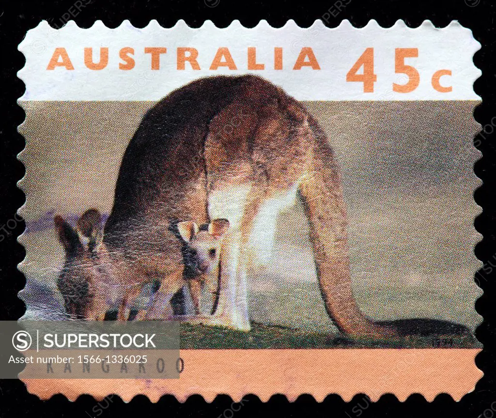 Kangaroo, postage stamp, Australia, 1994