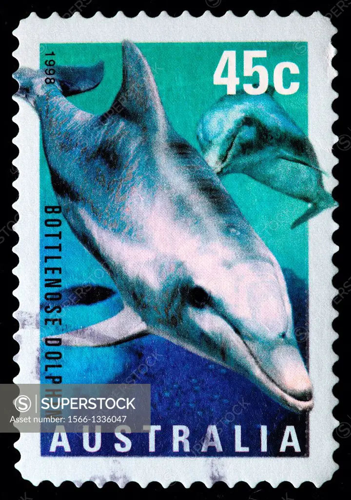 Bottlenose dolphin, Tursiops australis, postage stamp, Australia, 1998