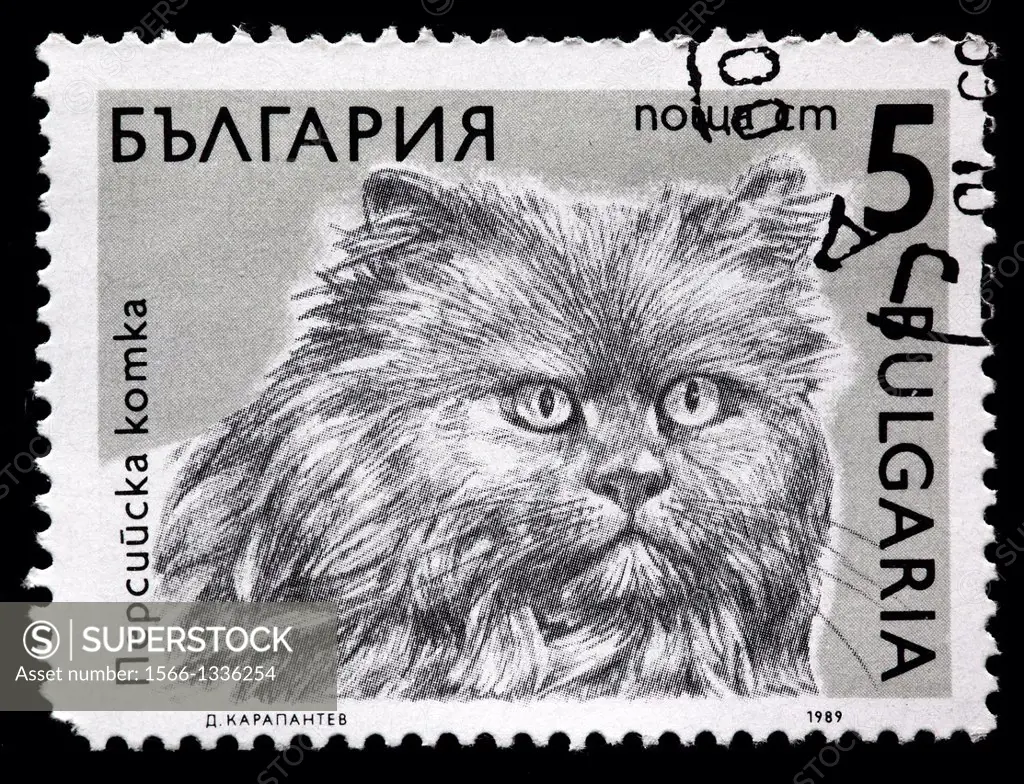Persian cat, postage stamp, Bulgaria, 1989