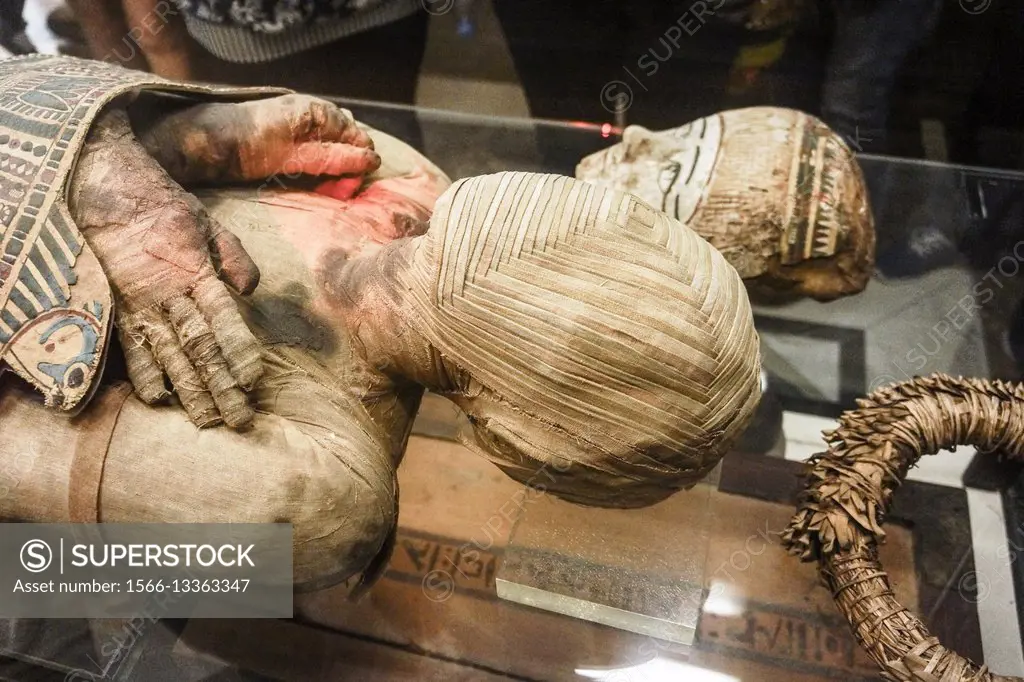 Egyptian Ptolemaic Mummy. Egyptian Pharaonic collection. Louvre Museum. Paris. France.