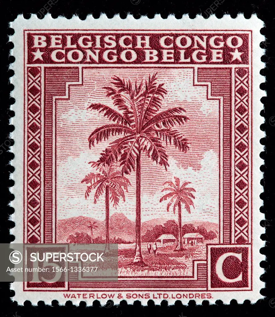 Oil Palms, postage stamp, Belgian Congo, 1942