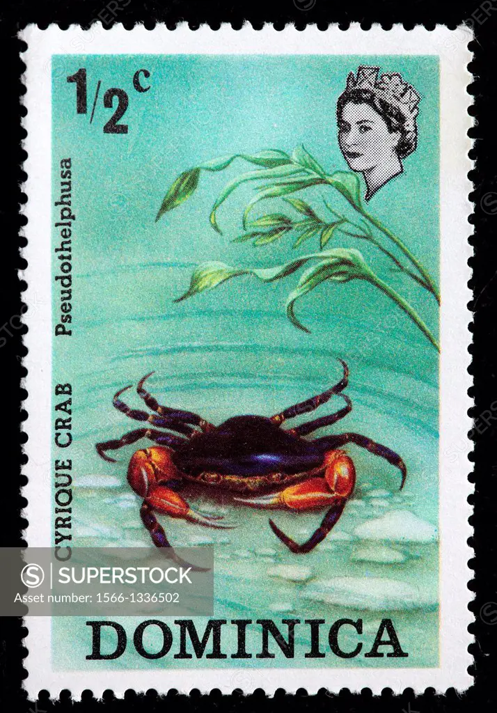 Cyrique crab, pseudothelphusa, postage stamp, Dominica, 1970