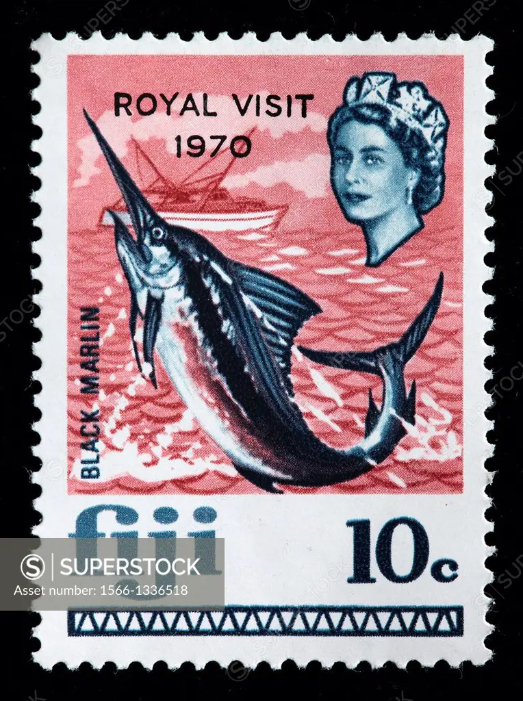 Black marlin Makaira indica, postage stamp, Fiji, 1968