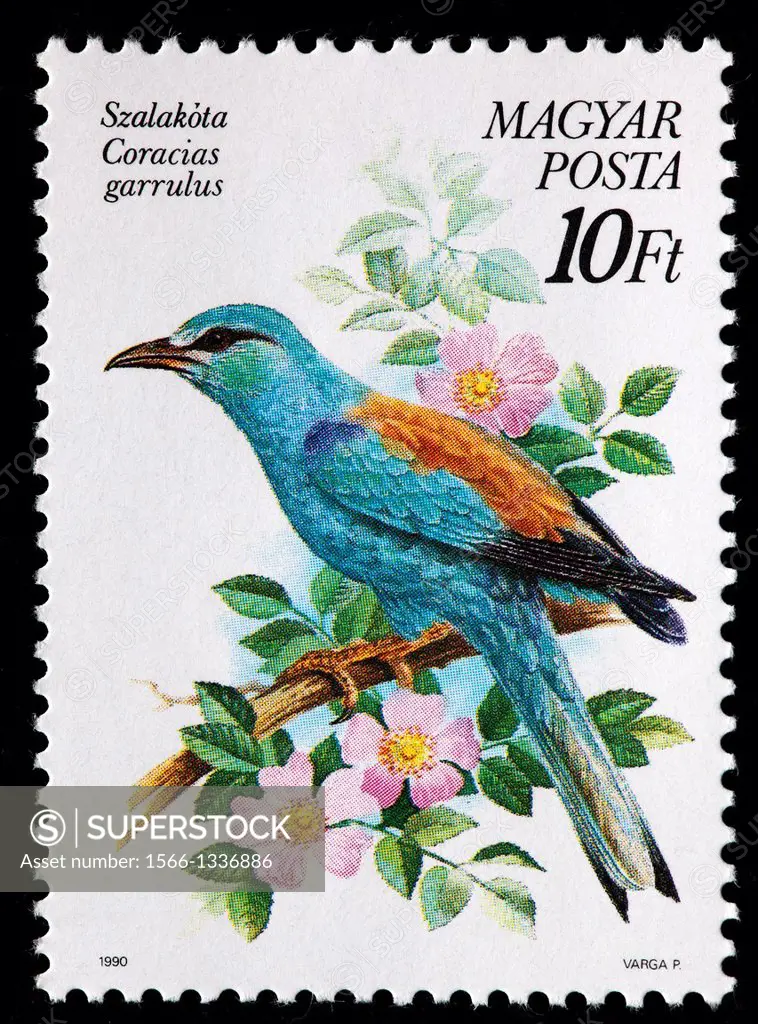 European Roller Coracias garrulus, postage stamp, Hungary, 1990