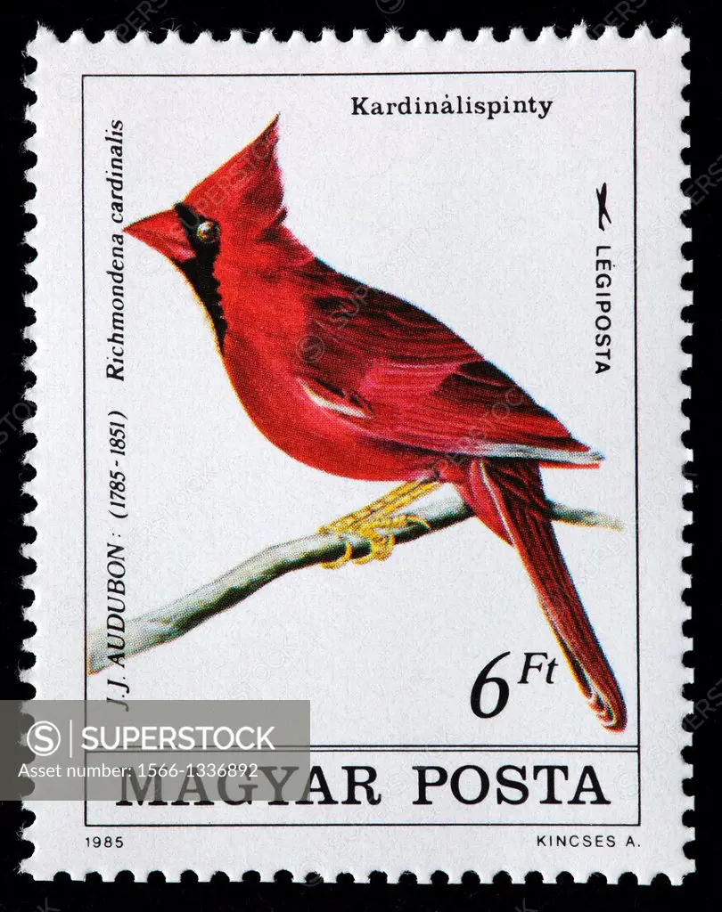 Audubon illustration, postage stamp, Hungary, 1985