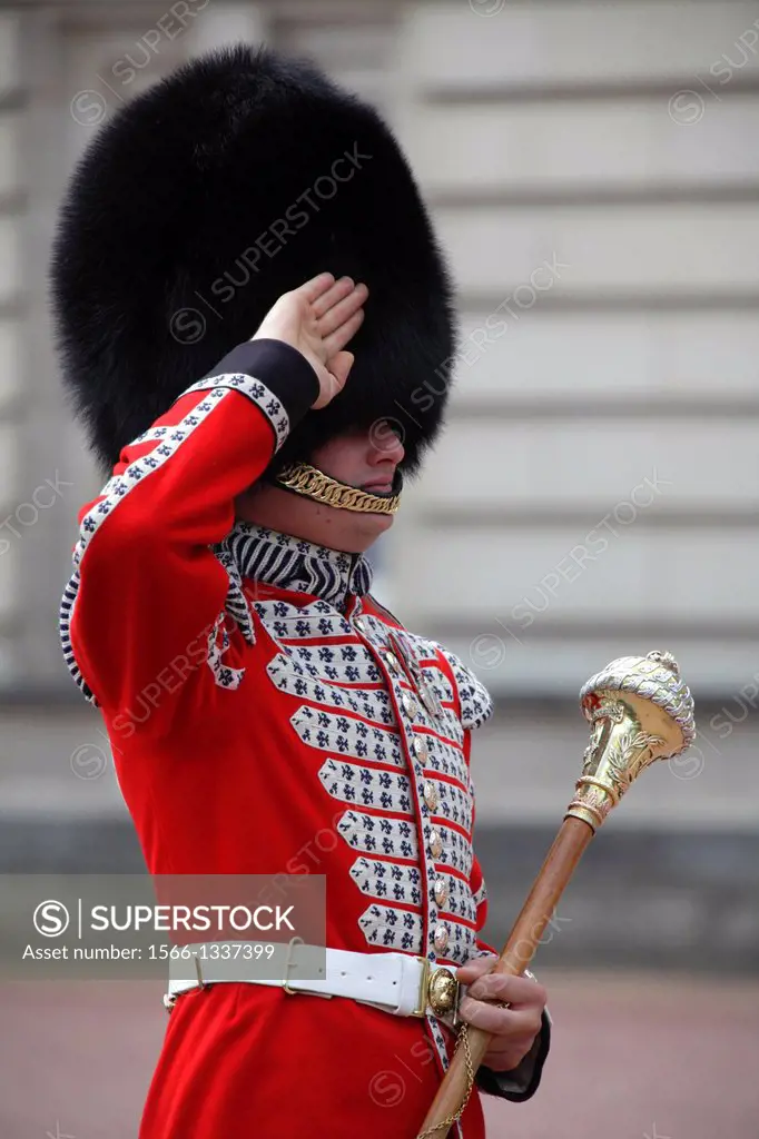 Soldier in traditional uniform during the change of the guards at Buckingham Palace, London, UK.